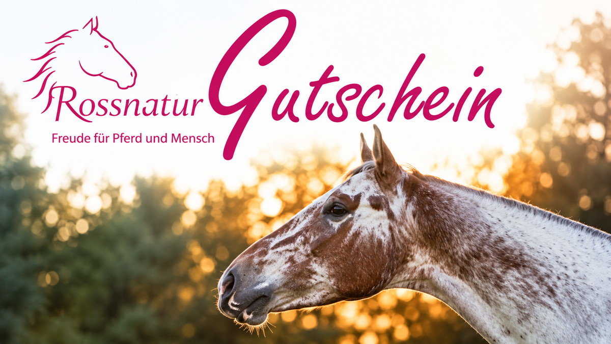 Geschenkgutschein