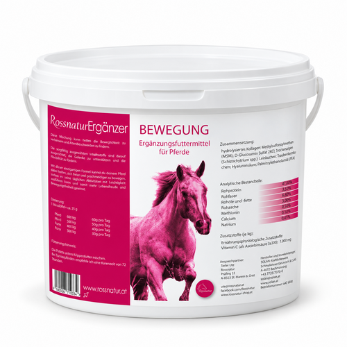 Bewegung