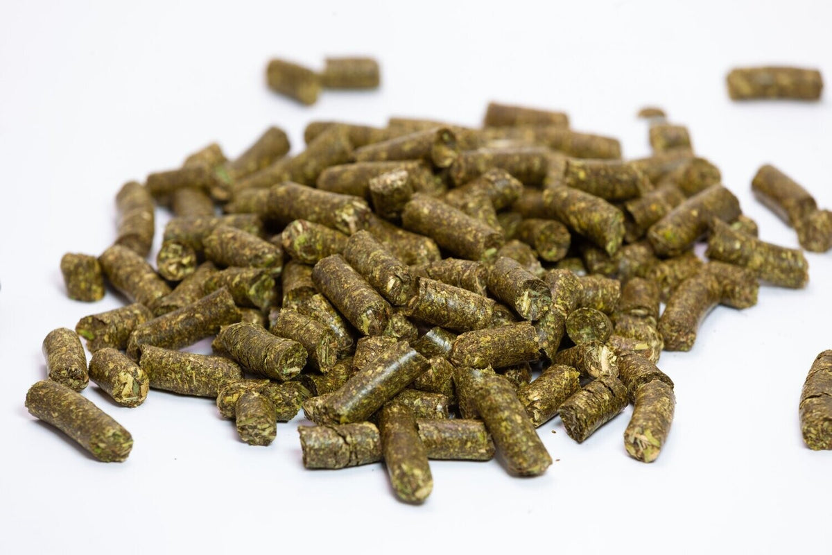 Clickerlis Timothypellets 1 kg